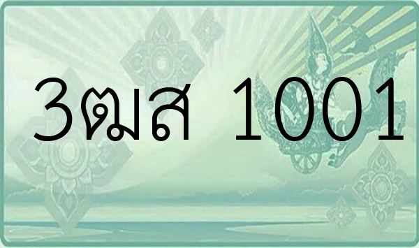 3ฒส 1001
